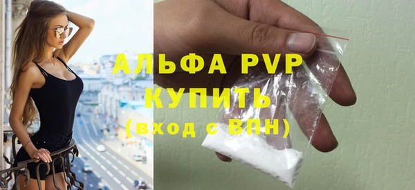 индика Козельск