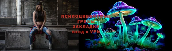 индика Козельск