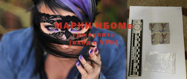 индика Козельск