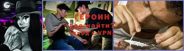 индика Козельск