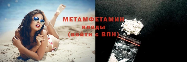 индика Козельск