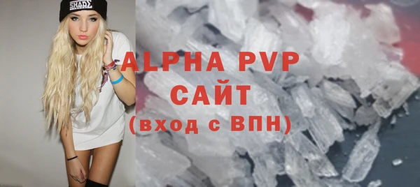 индика Козельск
