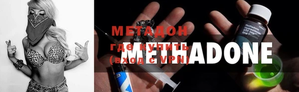 индика Козельск