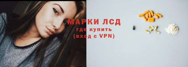 индика Козельск