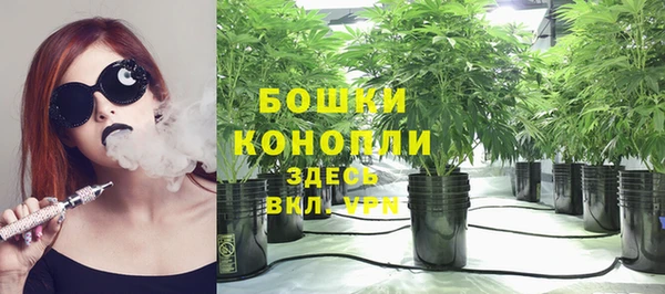 индика Козельск