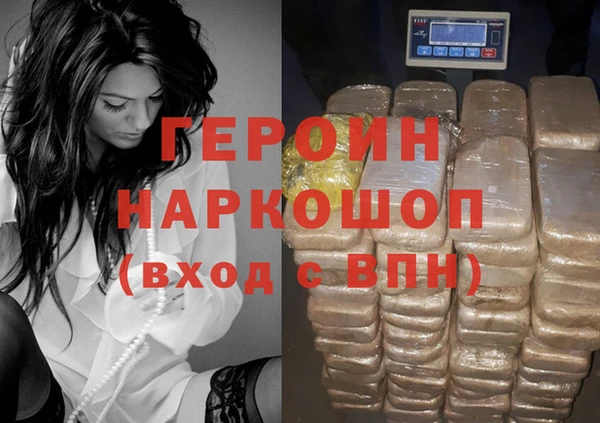 индика Козельск