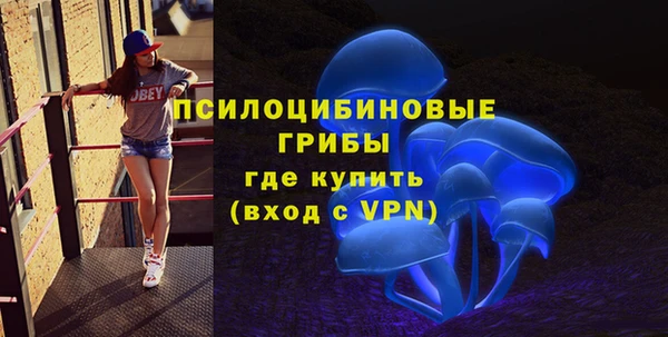 индика Козельск