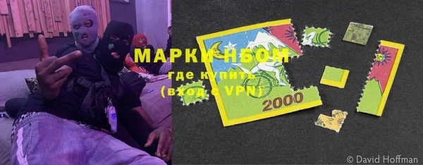 индика Козельск