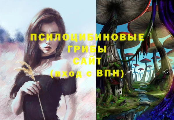 mdma Козловка