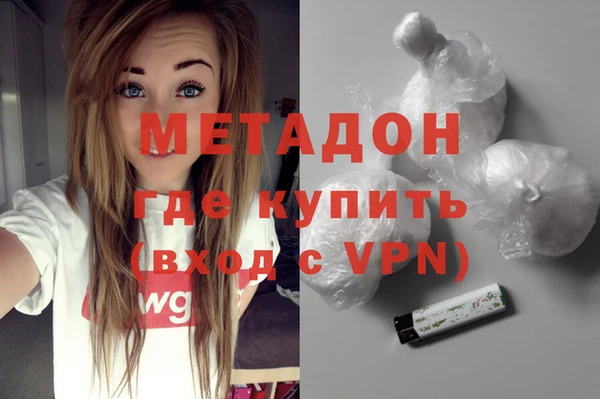индика Козельск