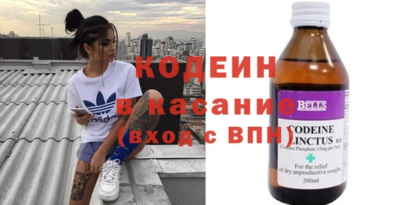 индика Козельск