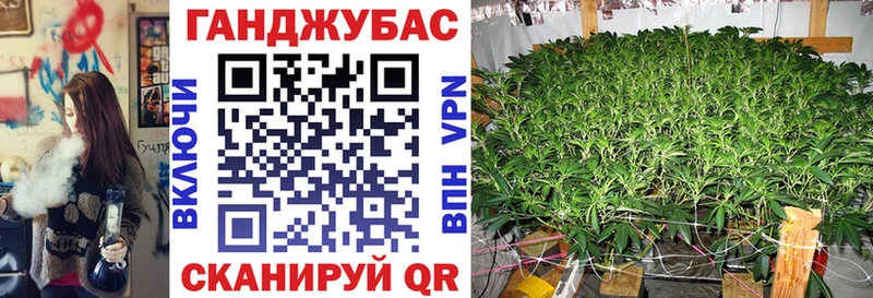 Конопля планчик  Купить  Западная Двина 